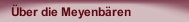 Über die Meyenbären