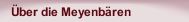 Über die Meyenbären