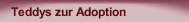 Teddys zur Adoption
