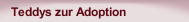 Teddys zur Adoption